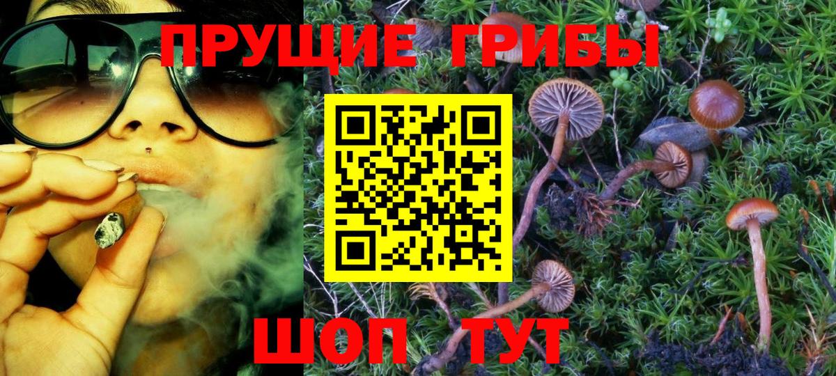 Галлюциногенные грибы MAGIC MUSHROOMS  купить наркотик  Ростов-на-Дону  Вход с VPN 