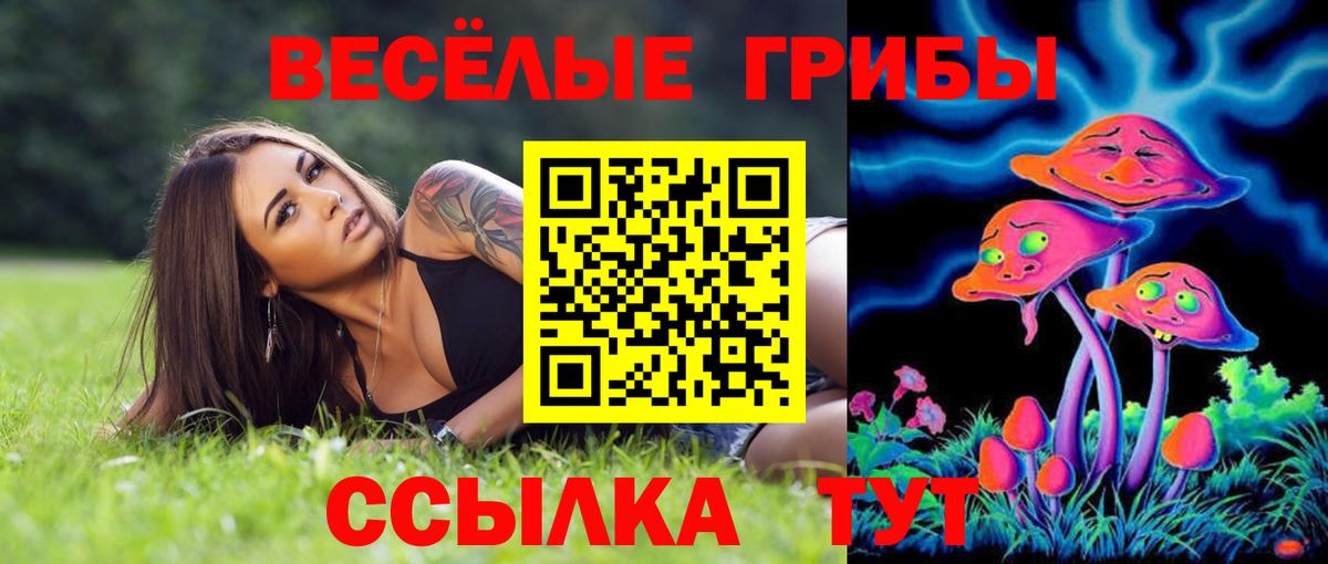 Псилоцибиновые грибы Psilocybine cubensis  Ростов-на-Дону 